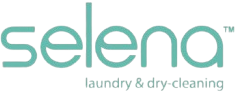 Preview image published by selenaservice.am